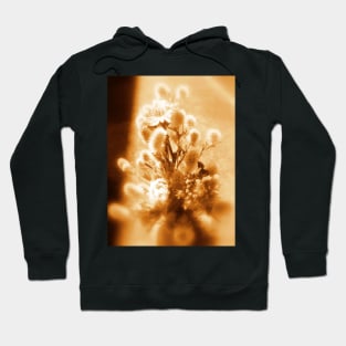 wildflower bouquet, amber Hoodie